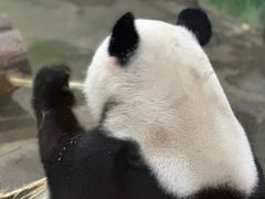 -柳州市动物园