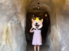 -杭州开元森泊度假乐园