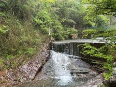 -大奇山国家森林公园