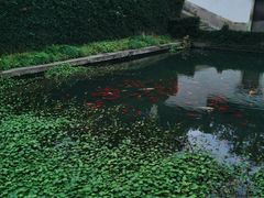 -宁波市保国寺古建筑博物馆