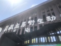 -青藏高原野生动物园