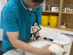 -艾贝尔宠物医院·24H转诊中心·肿瘤猫专科(江宁双龙店)