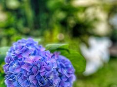 -时间逆·烘焙