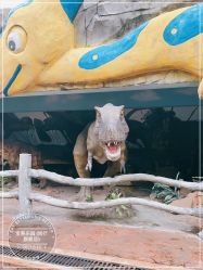 点击看大图 -宝燕乐园(闵行旗舰店)