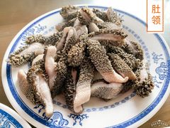 肚领-老爆肚满五香烧牛羊肉