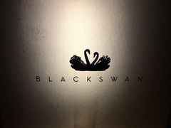 -BLACKSWAN黑天鹅(环球店)
