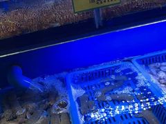 -新海渔港·胶东海鲜家常菜·家宴(奥体中心店)