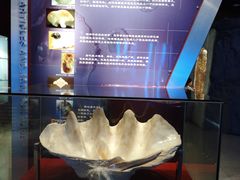 -中国地质大学逸夫博物馆