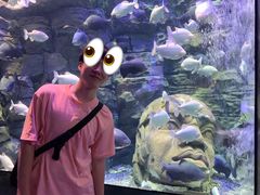 -成都浩海立方海洋公园