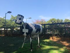 -观澜湖生态运动公社