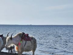 景点-青海湖二郎剑景区