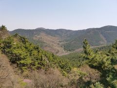 -金龙寺国家森林公园