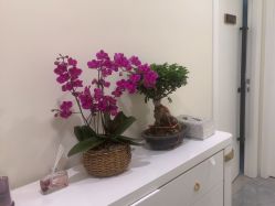 -海涛医疗美容·面部抗衰·注射美鼻