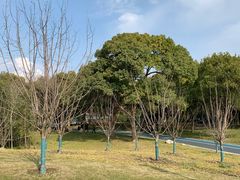 -新洲生态园