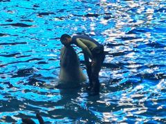 -福州罗源湾海洋世界旅游区