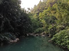 -广州白江湖森林公园