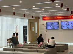 -中央芭蕾舞团·中芭艺蕾(酒仙桥明星校区)