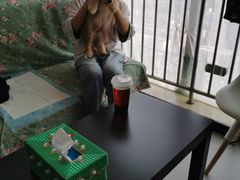 -我爱猫咪·猫咖·狗咖·安哥拉兔·羊驼咖(小寨华旗店)