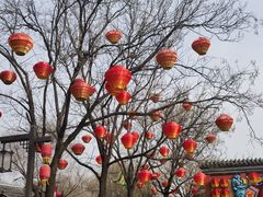 -清明上河园
