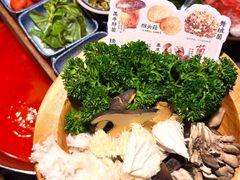 -楠小云·云南鲜菌·鲜牛自助火锅(九眼桥店)
