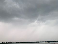 -八仔大富楼·河鲜(西江店)