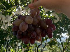 -大泽山风景名胜区