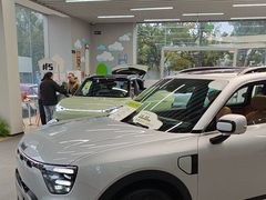 -上海浦东smart汽车全功能店(金桥店)
