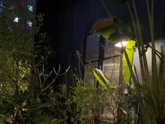 -肴约·花园式餐厅(湖里店)