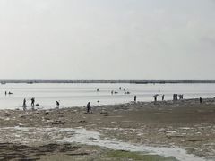 -北海金海湾红树林生态旅游区