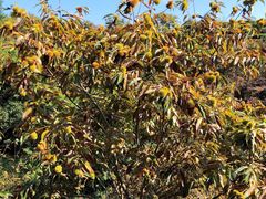 -中国广电东方有线(泉口路营业厅)