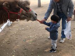 -长白岛森林公园