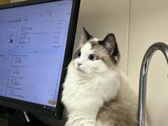 -芭比堂动物医院·CT·微创中心(新顺分院)