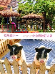 -萌宠亲子动物乐园(槐房万达店)