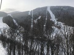 -亚布力新体委滑雪场