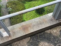 -江宁织造博物馆