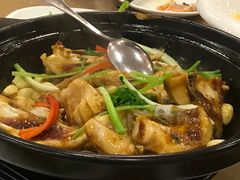 -永記粤菜·五指毛桃花雕鸡煲(九亭店)