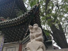 -迎泽公园