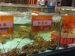 -国惠大酒楼(仓山万达店)