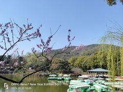 -惠山古镇·寄畅园