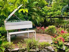 -花溪雨·森林餐厅(石基店)