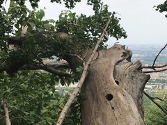 -阳台山自然风景区