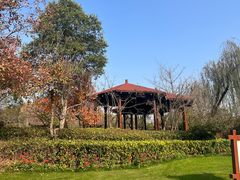 -思念果岭悦温泉