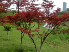 -艾溪湖湿地公园