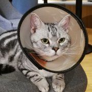 大堂-共舞时光猫咖·狗咖(新街口店)