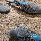 小朋友放电好去处—mini zoo萌宠王国