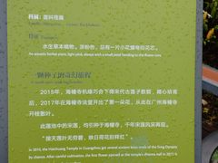 -云溪植物园