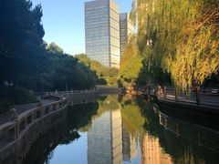 -上海千禧海鸥大酒店