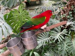 -南宫五洲植物乐园