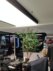 -付军剪艺JF ProSalon