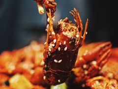 小龙虾-楚媚娘炭火蛙锅(宽厚里店)